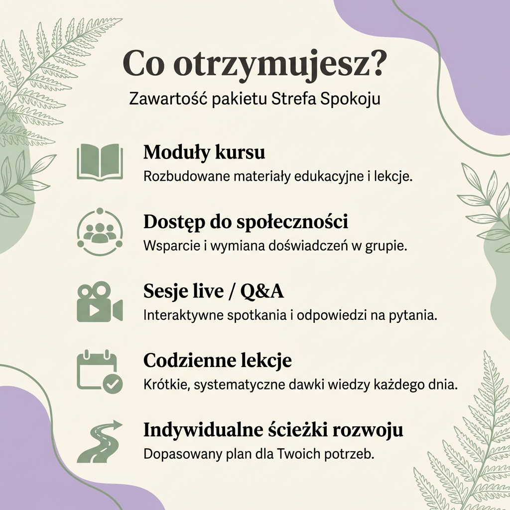 Strefa Spokoju — Program, Który Zmienia Życie od Środka